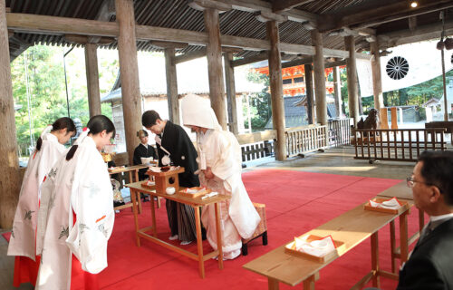 【神社挙式＆和の結婚式相談会】　本格的な和の挙式。ご希望に合わせてご案内